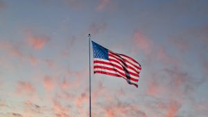 Read more about the article E-2 and O-1 Visa holders: Navigating Tax Filing, Accounting, and Business Entities