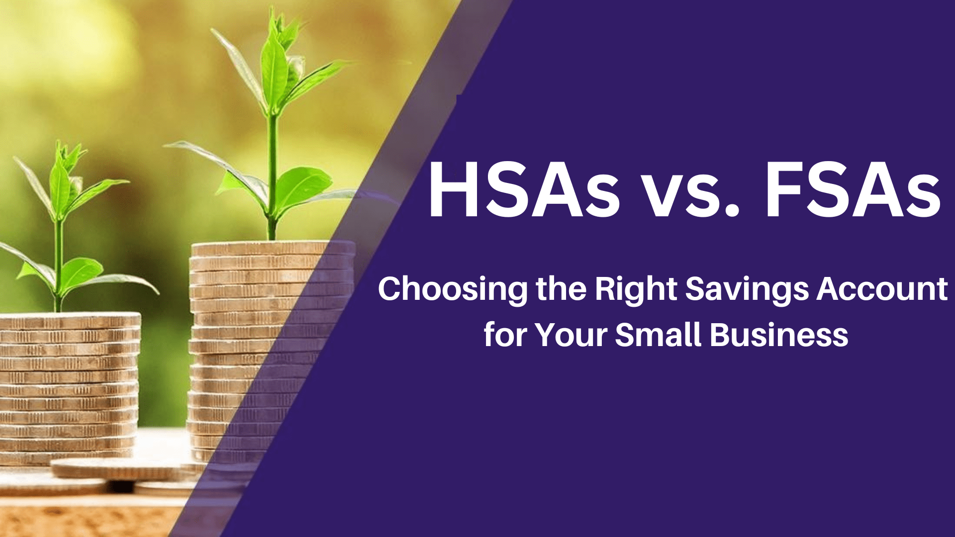 Read more about the article HSAs vs. FSAs: Choosing the Right Savings Account for Your Small Business