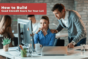 Read more about the article How to Build a Good Credit Score for Your LLC