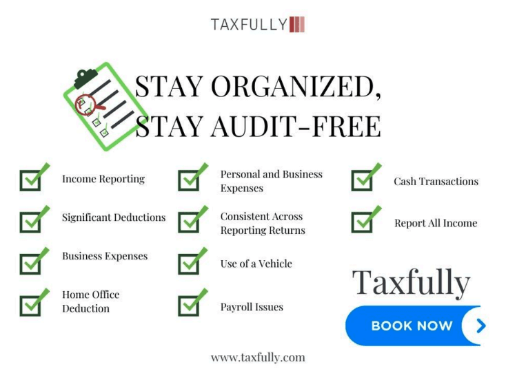 Audit Risk Meter - Stay Organized Stay Audit Free